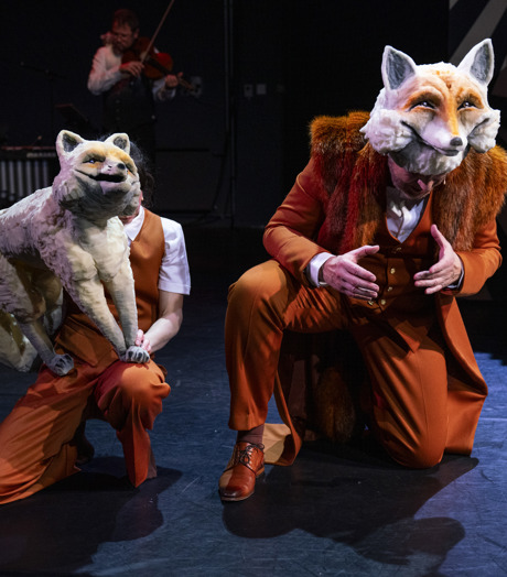 Reinaertdev Hollandopera Dudapaivacompany Neweuropeanensembl18