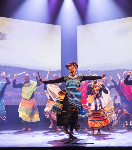 South African Road Trip ROOTS! (C) Raymond Van Olphen (2)