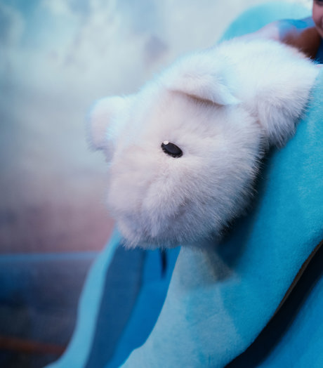 Theater Stof De Kleine Ijsbeer (Iris Sanne Van Der Aar) Scènefoto 1