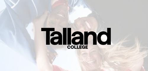 Partner Widgets Website 04