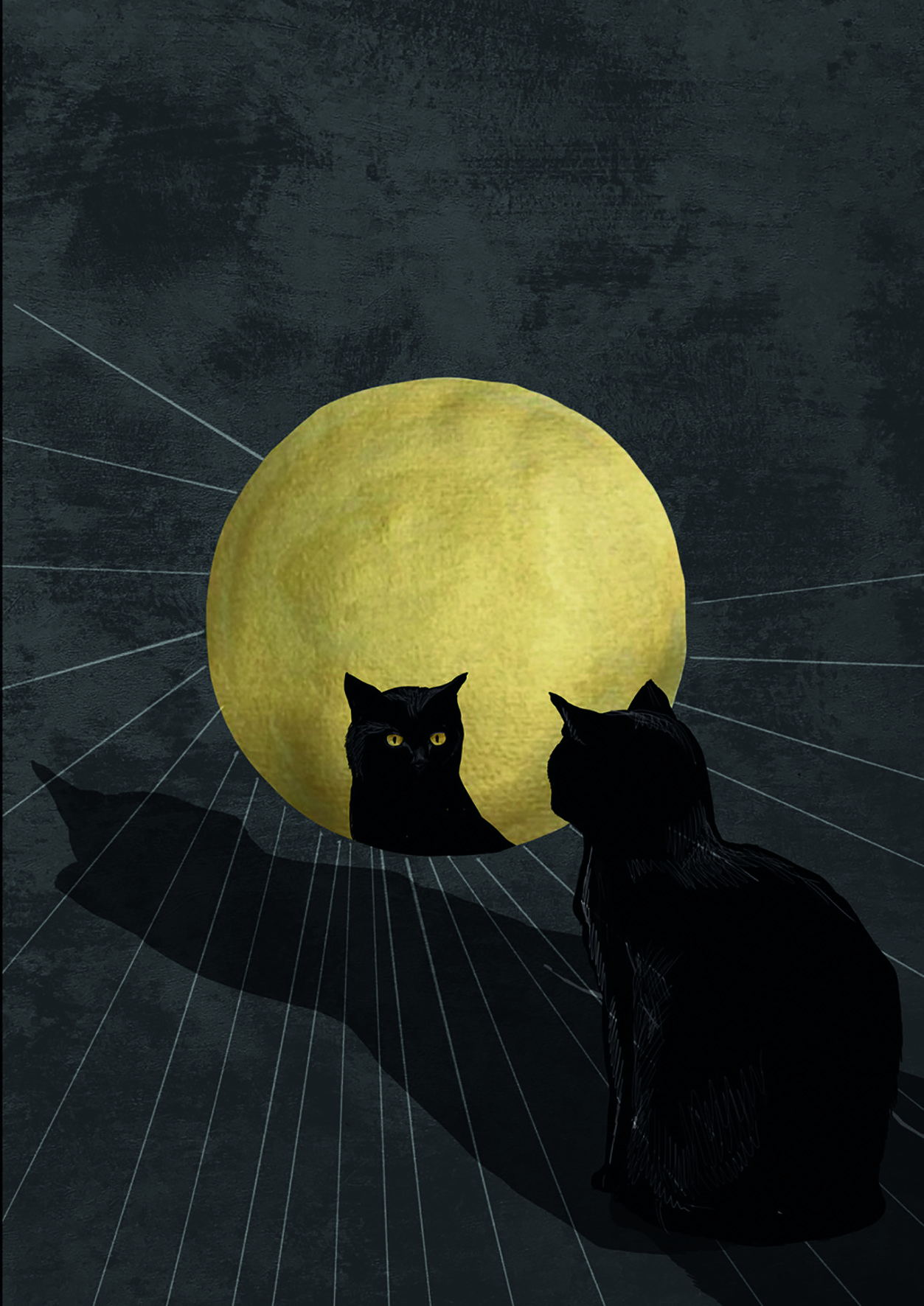 Joshua Aaron Was Ik Maar Een Kat (Onbekend)