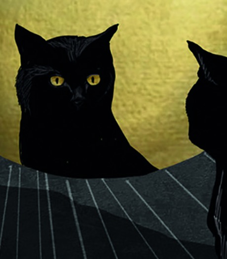 Joshua Aaron Was Ik Maar Een Kat (Onbekend)