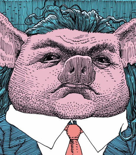 Flip Noorman Animal Farm (Victor Meijer) 4