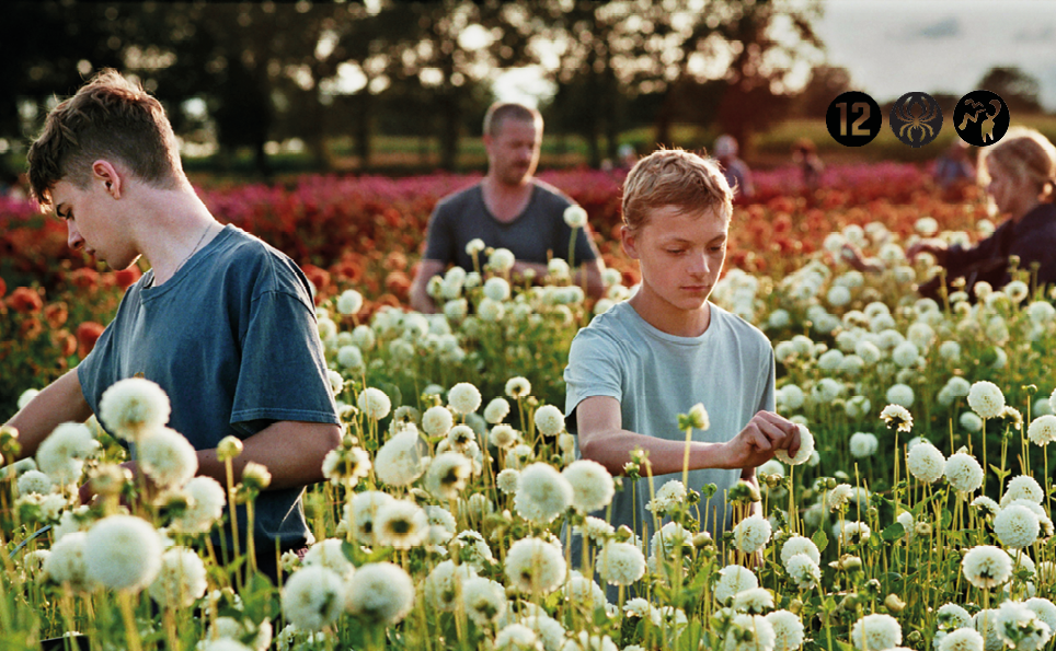 Close Afbeelding Met Kijkwijzer