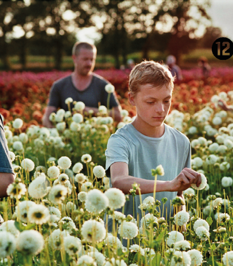 Close Afbeelding Met Kijkwijzer