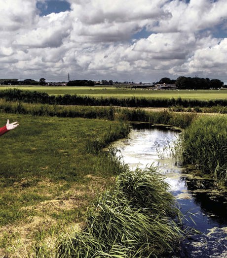 Karin Bloemen En Band Renaissance 2.0 (Jacqueline De Haas) 4