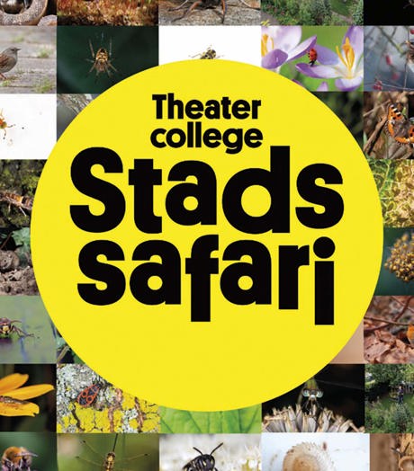 Stadssafari