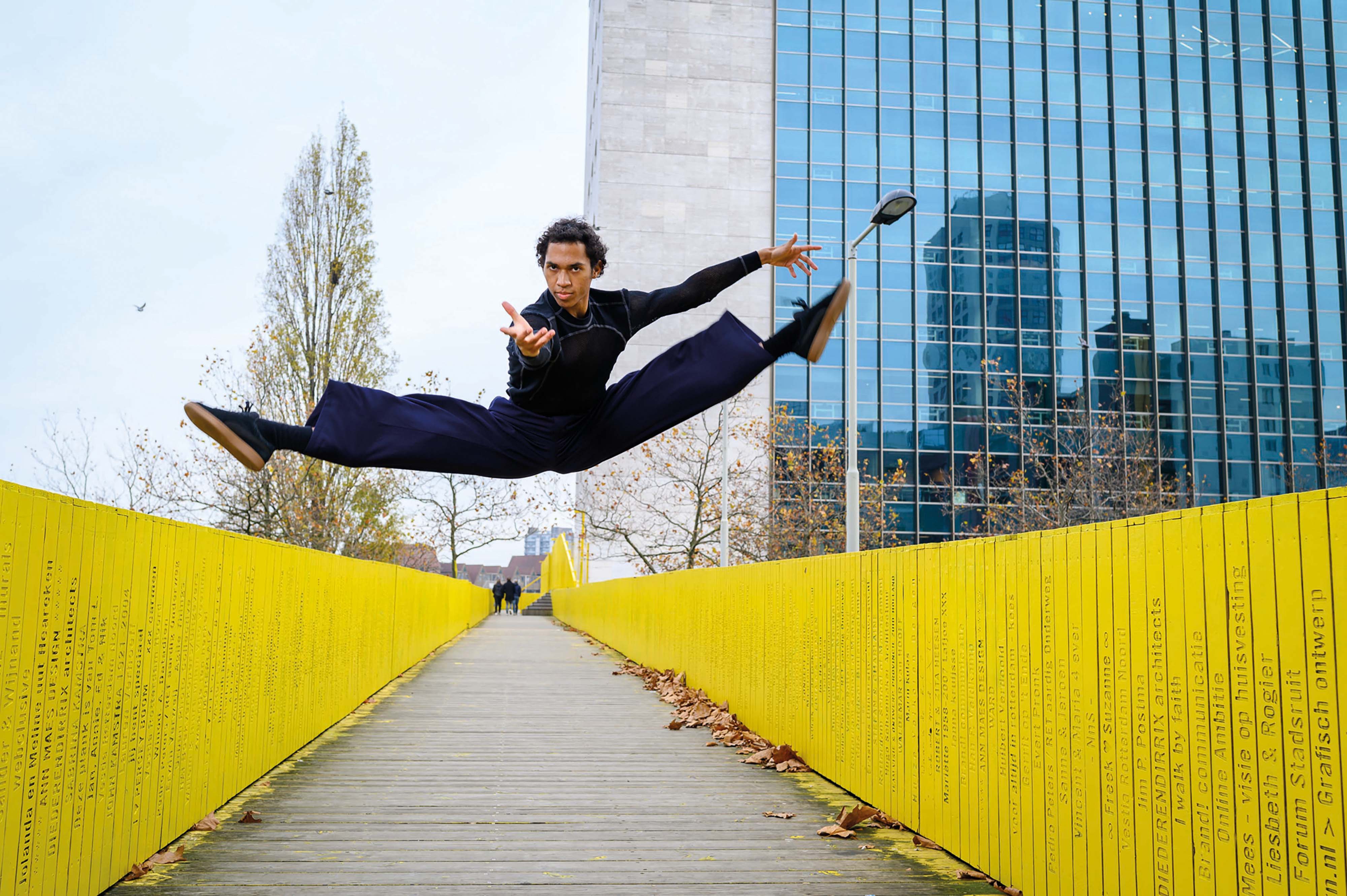 Holland Dance Festival Talent On The Move 2025 (Arash Nikkhah Teade)