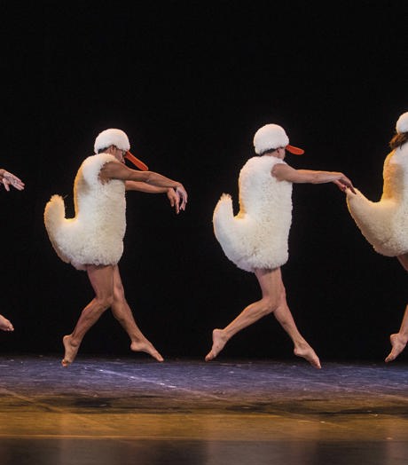 Chicos Mambo TUTU (Michel Cavalca) 1