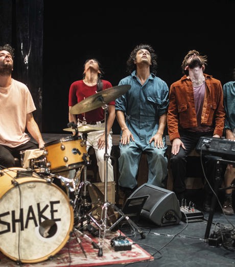 De Dansers Shake Shake Shake (Bart Grietens) 2