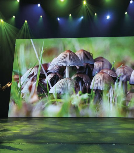 Stadssafari (Onbekend) 2 RGB 150 Dpi