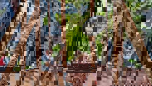 Cool Open 15 Jaar20230916 0060 Min