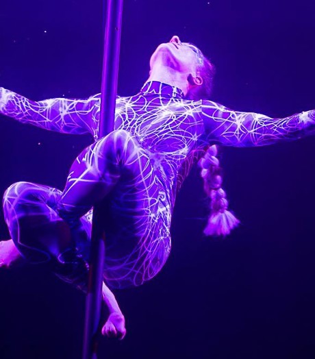 Dansstudio Elisa 1