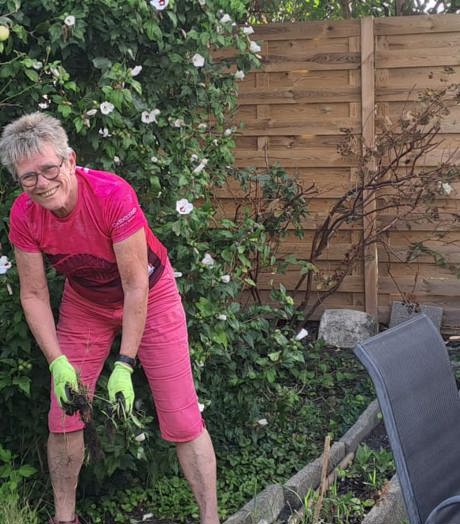 Stichting Dijk En Waard Voor Elkaar (2)