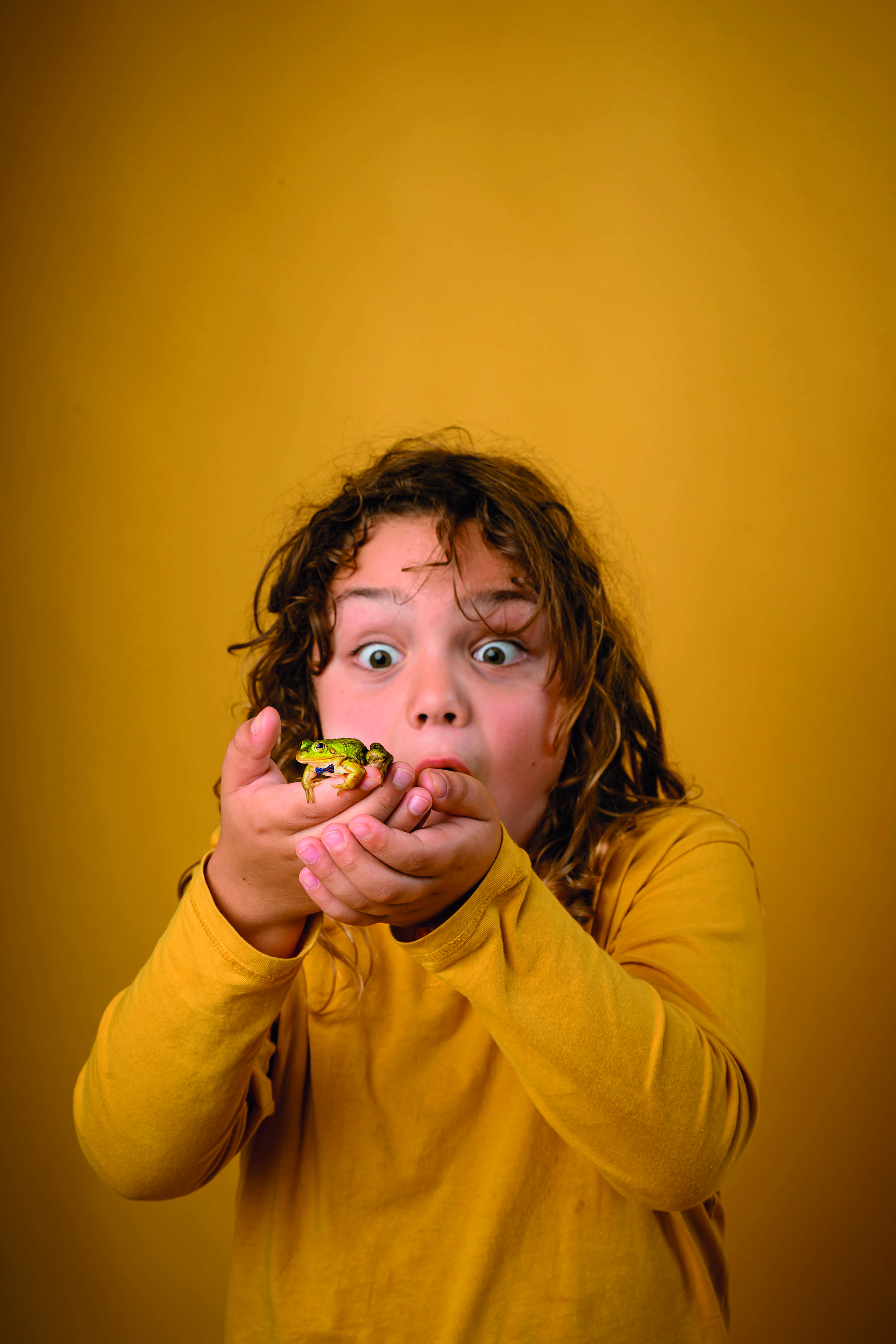 De Grote Haay Meester Kikker (Annemieke Van Der Togt) 1
