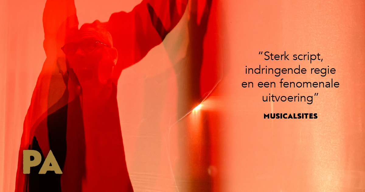 Solostories Pa Social Recensie 004 Facebook