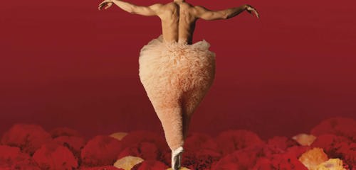 Chicos Mambo TUTU (Michel Cavalca) CAMPAGNEBEELD 3