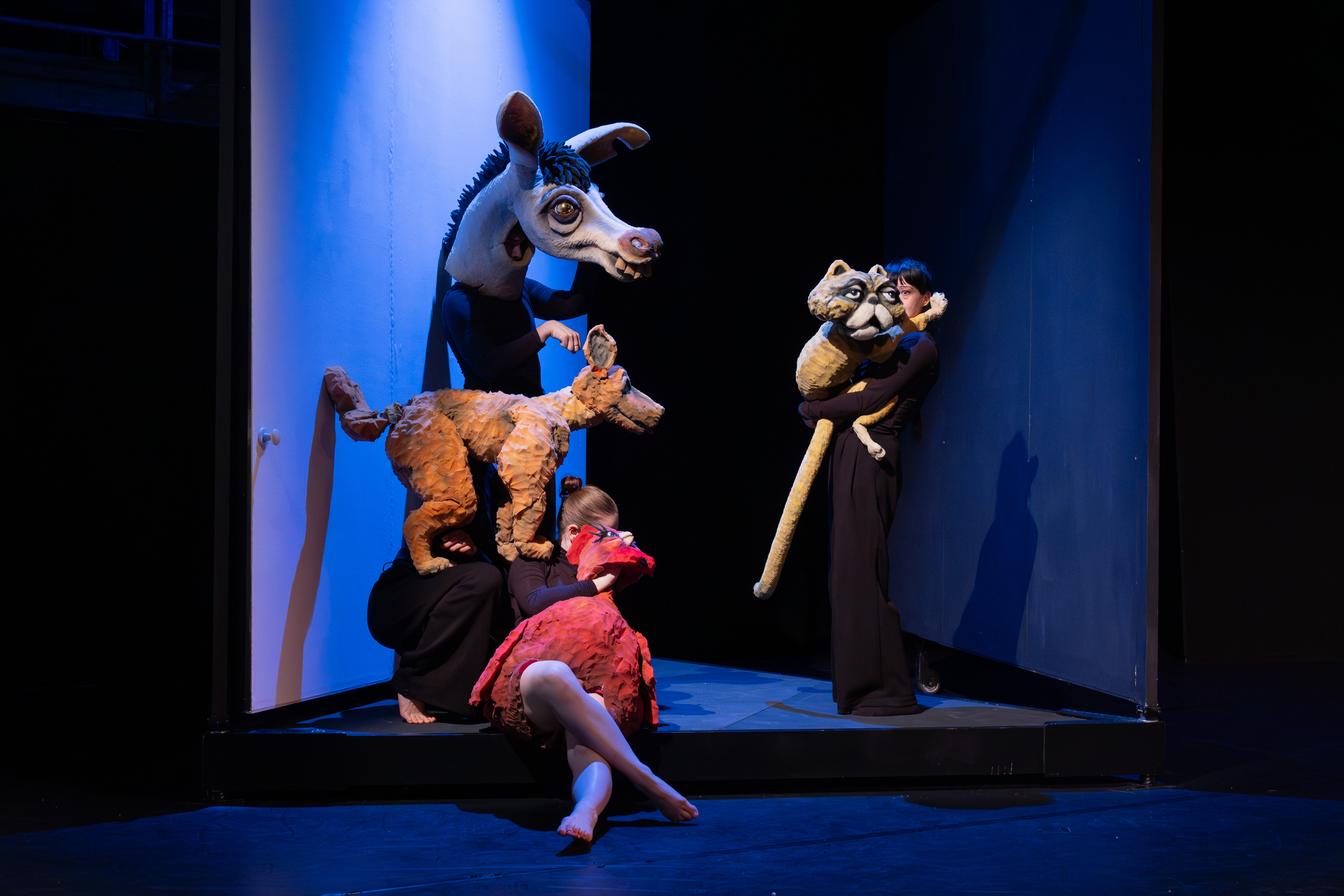 Hollandopera Bremerstraatmuziekanten ©Benvanduin2025 09