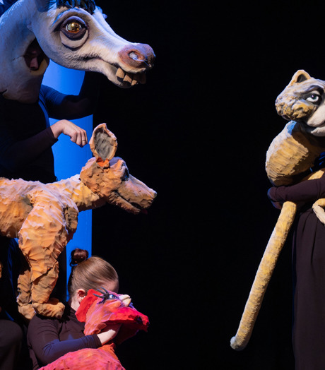 Hollandopera Bremerstraatmuziekanten ©Benvanduin2025 09