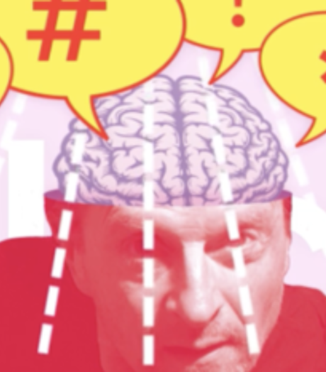 Romijn Conen Vallicht 2