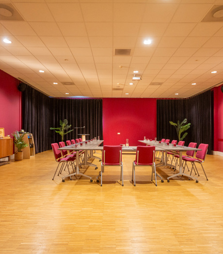 Coolkunstencultuur Zaala (Simone Stam) 2