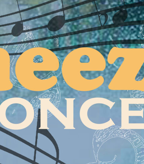 Ameezing Concert Def Scaled 1