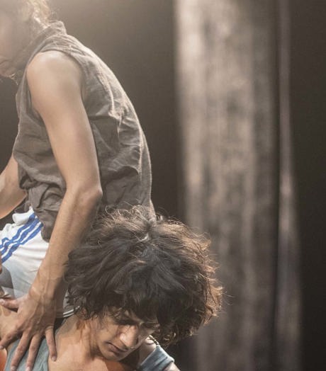 De Dansers Shake Shake Shake (Bart Grietens) 6