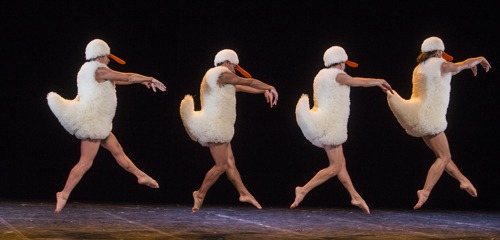 Scenefoto 2 Chicos Mambo Fotograaf Michel Cavalca