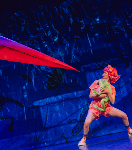 SANDERMULKENS Meesterkikker 405555