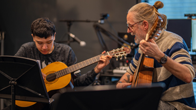 Gitaar 2