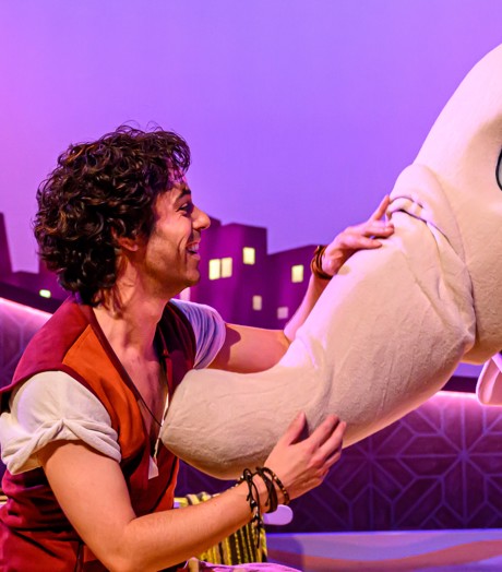 Hoofdselectie Aladdin (2)