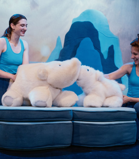 Theater Stof De Kleine Ijsbeer (Iris Sanne Van Der Aar) Scènefoto 3